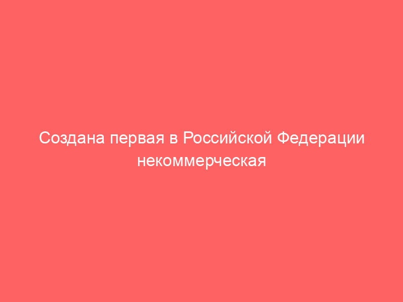 Создана первая в Российской Федерации некоммерческая корпоративная организация  профессиональных литигаторов (судебных юристов) — мы защитим своё право на  существование вне адвокатуры