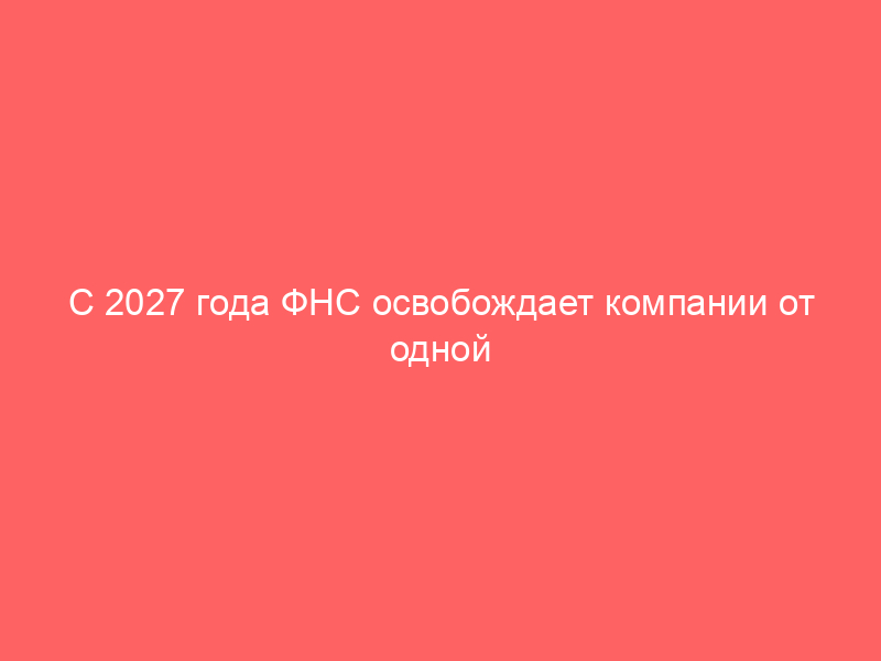 С 2027 года ФНС освобождает компании от одной обязанности — детали внутри…
